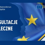 Województwo Śląskie, Konsultacje Społeczne 
