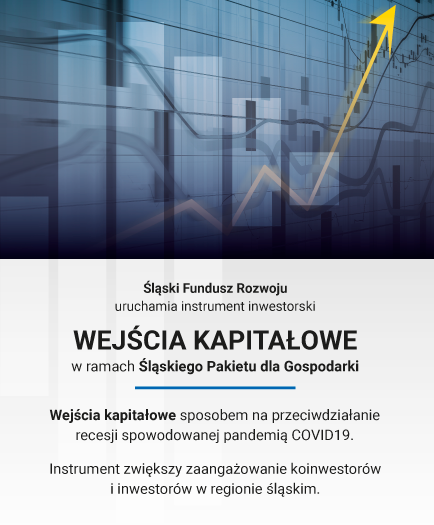 ŚFR_wejścia kapitałowe.