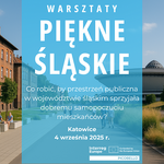 Baner warsztatów organizowanych w ramach projektu Picobello 