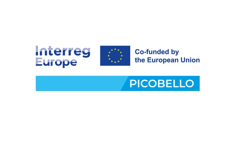 Logotyp projektu PICOBELLO